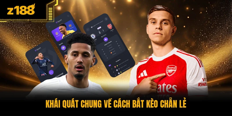 Khái quát chung về cách bắt kèo chẵn lẻ